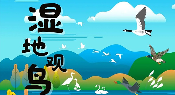 【獨立觀鳥一日營】走進白馬湖濕地，一起來探尋鳥兒的秘密